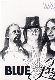 Blue Laylac's Album Cover Would You