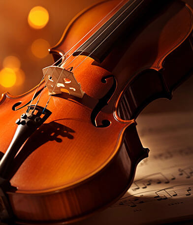 Das Bild zeigt eine Violine